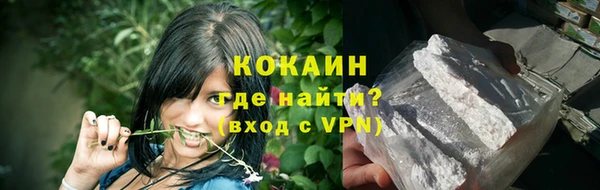 крисы Зерноград