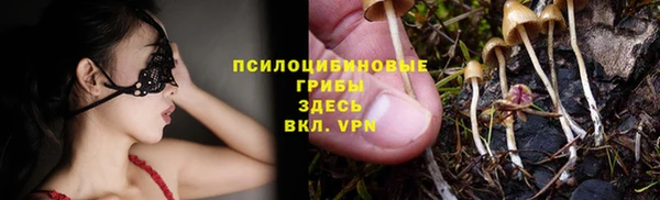 spice Зеленодольск