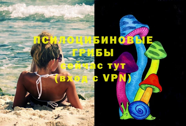 spice Зеленодольск
