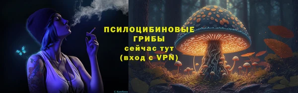 трава Зеленокумск