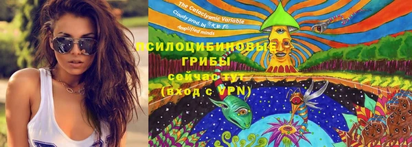 трава Зеленокумск